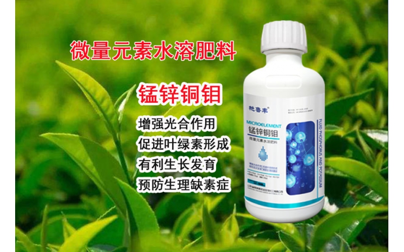 錳鋅銅鉬—?；ū９岣咦省⑴虼蠊麑? />
                            </a>
                        </div>

                                            </div>
                </div>
                <div   id="rhd6xwe"   class="col-lg-5">
                    <div   id="rhd6xwe"   class="product-intro">
                        <h1 class=