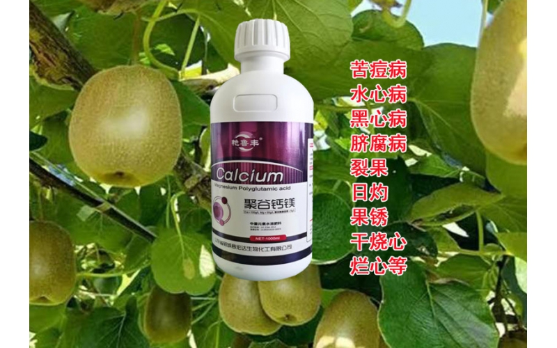 聚谷鈣鎂～單一的鈣作物吸收利用率很低，這是因?yàn)殁}的吸收需要多種酶的參與，而酶得不到活化就不能促進(jìn)鈣的吸收，但鎂能起到活化酶的作用，故鎂對(duì)鈣的吸收起著四兩撥千斤的作用。
