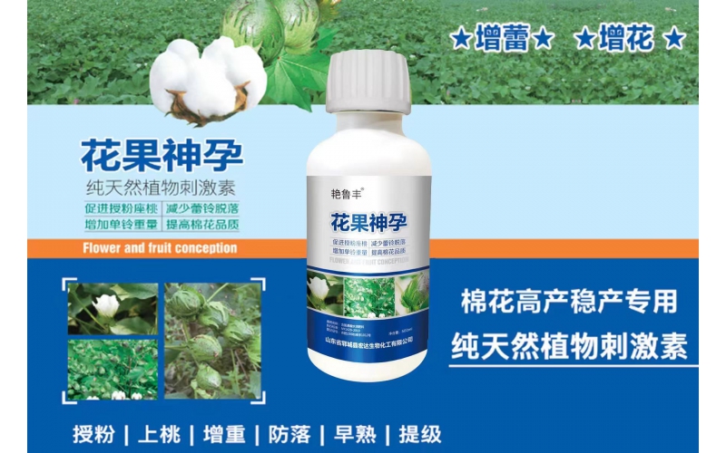 花果神孕—促進(jìn)花芽分化、保花保果、膨果增產(chǎn)