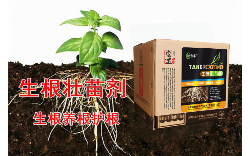 生根壯苗劑—生根養(yǎng)根，壯苗保苗，植株健壯，抗逆增產(chǎn)