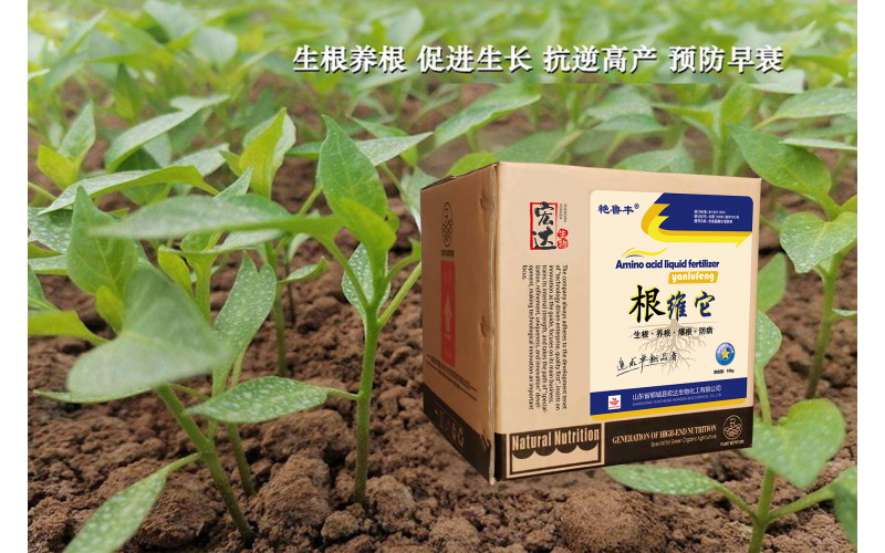 根維它—生根養(yǎng)根  促進生長  抗逆高產(chǎn) 預(yù)防早衰